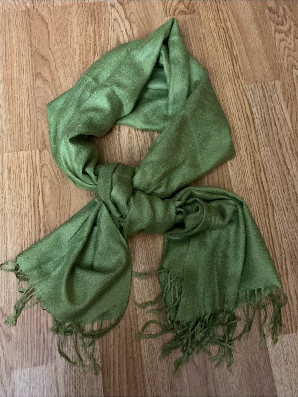 Women’s Pashmina Spring Green Scarf- Pashmina and Silk- Soft and Silky